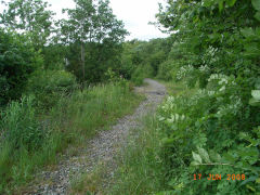 Tir Filkins bridge, Halls Road Tramroad, Blackwood, June 2008